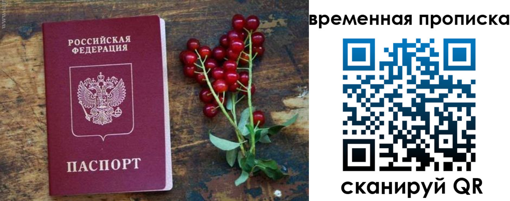 временная регистрация гарантия в Искитиме